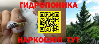 прущие крисы Новозыбков