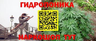 прущие крисы Новокубанск