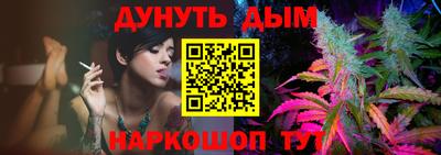 прущие крисы Новозыбков