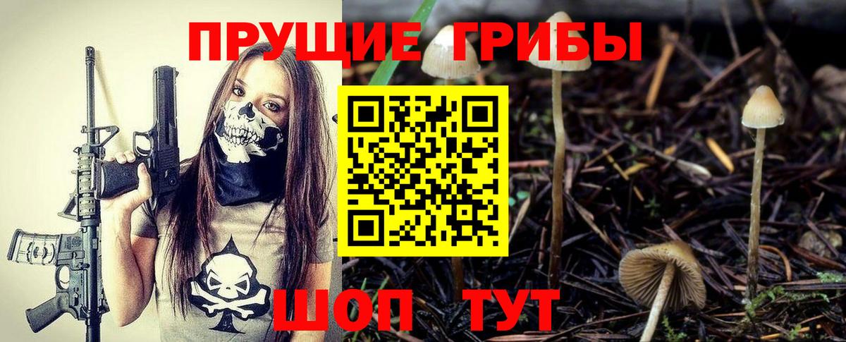 Шатура  Галлюциногенные грибы мицелий  Вход с VPN 
